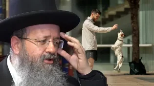 המקובל הרב יצחק בצרי: "הסיבה הרוחנית לכך שהחרדים נמנעים מגידול כלבים"