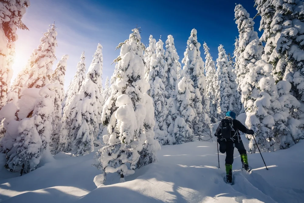 טייל לבדו בלפלנד - ומת בצורה טראגית 