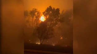 שרפת ענק בלוס אנג'לס: עשרות אלפים מפונים מבתיהם