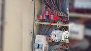 הגילוי המפתיע: נחש מסוכן התגלה בארון חשמל
