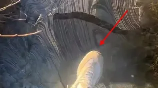 צפו: רצפת קרח מתנפצת תחת הרגליים