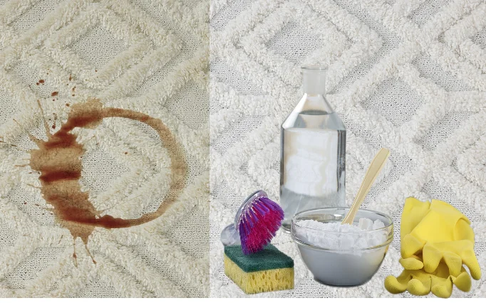 ניקוי שטיחים בלי שואב אבק: השיטה הגאונית שמיליונים כבר ניסו! ניקוי שטיחים בלי שואב אבק: השיטה הגאונית שמיליונים כבר ניסו!