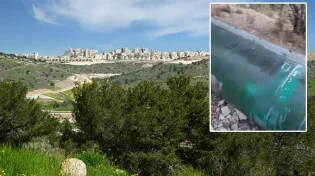 צפו: טיל מסתורי התגלה ביער ליד בית שמש - מה עומד מאחורי התגלית?