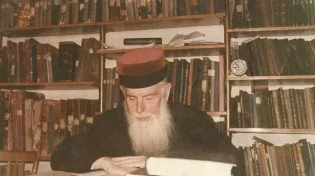 "פתאום נשמעו קולות הצלפה ובכי מהחדר הפנימי"