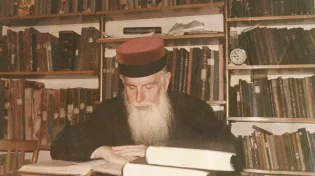 "פתאום נשמעו קולות הצלפה ובכי מהחדר הפנימי"