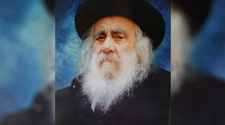 אחד הסיפורים המופלאים על הסטייפלר זצ"ל, בעל ה"קהילות יעקב"
