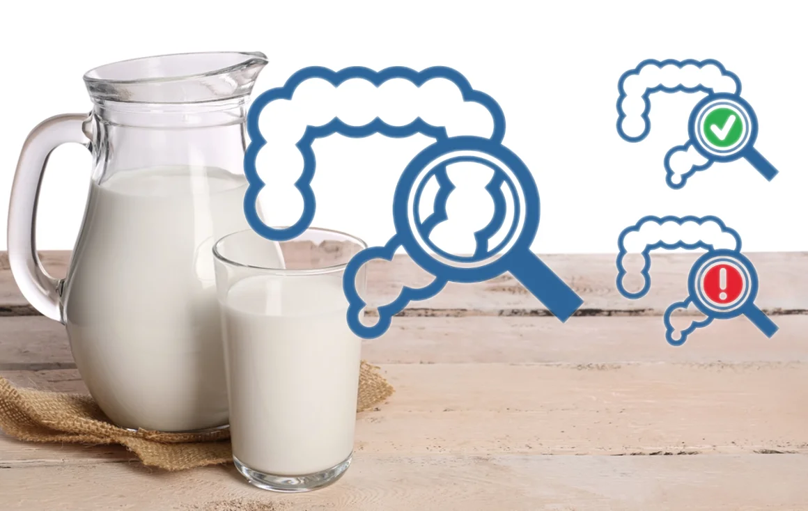 האם כוס חלב יכולה למנוע את סרטן המעי הגס? האם כוס חלב יכולה למנוע את סרטן המעי הגס?