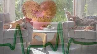 האדמו"ר מסוכטשוב: כך משפיע שלום הבית על הבריאות שלכם