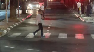"התורה נדבקת רק בבני אדם עדינים"
