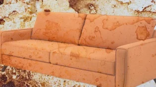 שיטת 'הנייר האלסטי': הטריק המפתיע שמעלים כתמים קשים מהספה!