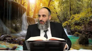המעלה העצומה של הכרת הטוב חלק ב' - פרשת שמות | הרב יניב עזיז