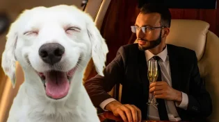 מה גרם לעשיר להאכיל את כלבו על השולחן?
