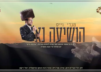 מנדי וייס - " הושיעה נא"