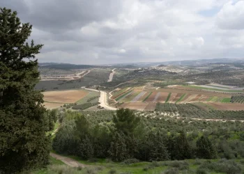 "ותן טל ומטר לברכה": דאגה מהמחסור בגשמי ברכה