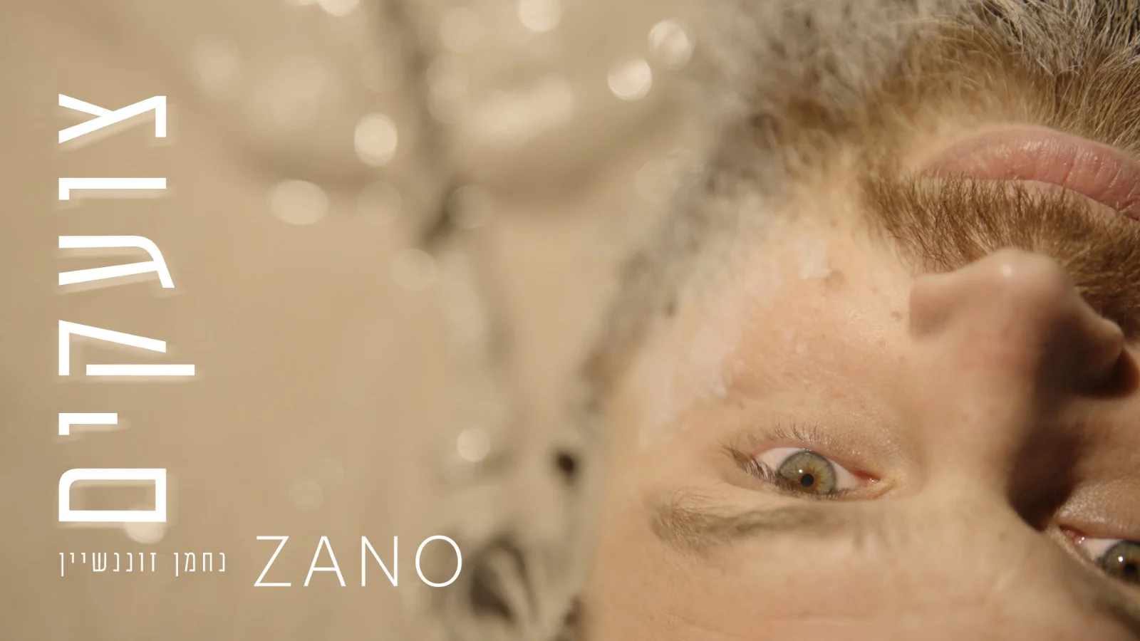 נחמן זוננשיין - "צועקים"