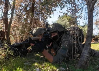 חטיבת 'ההרים' פועלת בהר דב: אמצעי לחימה רבים הושמדו 