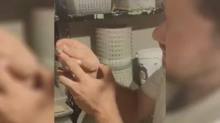 הכירו את נחש הפיתון: לוכד את הנחש בידיים חשופות
