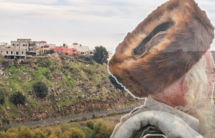 הבר מצווה הפכה לדרמה: השטריימל היקר עף מהרכב – ונמצא במקום שהדהים את כולם הבר מצווה הפכה לדרמה: השטריימל היקר עף מהרכב – ונמצא במקום שהדהים את כולם