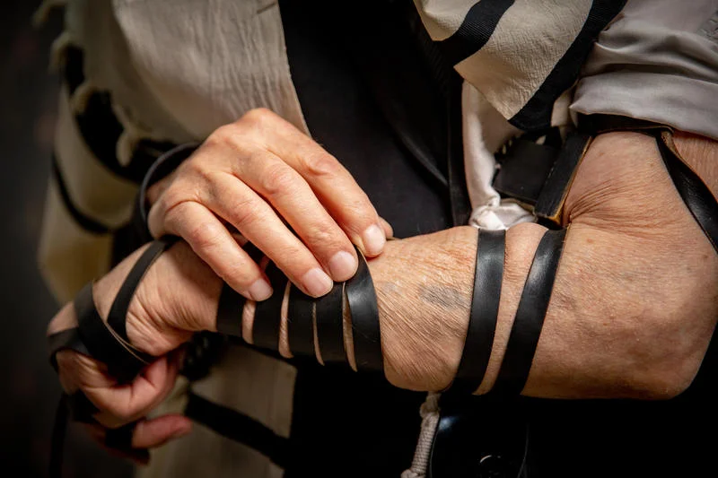 דור התקומה: בישראל חיים כיום 123,715 שורדי שואה; גילם הממוצע: 88 