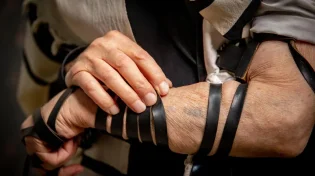 דור התקומה: בישראל חיים כיום 123,715 שורדי שואה; גילם הממוצע: 88&nbsp;
