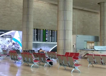 יום השואה הבינלאומי: נתוני עליית ניצולי השואה מתחילת מלחמת "חרבות ברזל" 