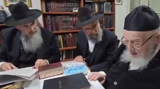 מרן הגרמ"צ ברגמן בתפילה נרגשת: "אבא, תן מים לשומרי שמיטה"