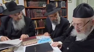 מרן הגרמ"צ ברגמן בתפילה נרגשת: "אבא, תן מים לשומרי שמיטה"
