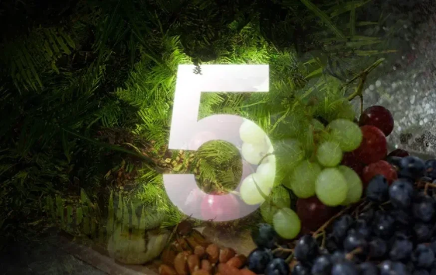 5 דרכים מפתיעות להכניס את הטבע הביתה בט"ו בשבט – פשוט ויפה! 5 דרכים מפתיעות להכניס את הטבע הביתה בט"ו בשבט – פשוט ויפה!