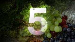 5 דרכים מפתיעות להכניס את הטבע הביתה בט"ו בשבט - פשוט ויפה!