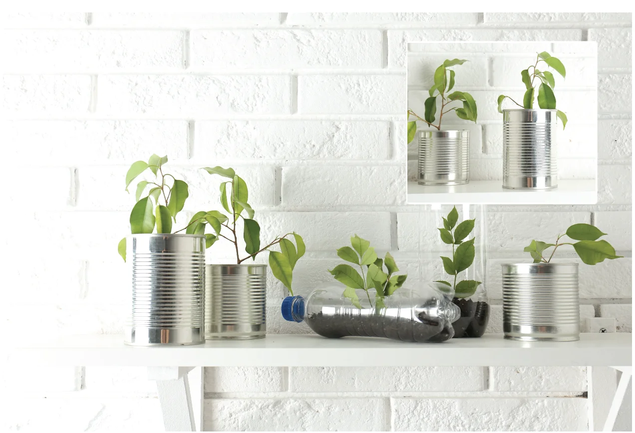 הטריק היצירתי לעציצים ממוחזרים שמשגע את הרשת – וקל להכין בבית! הטריק היצירתי לעציצים ממוחזרים שמשגע את הרשת – וקל להכין בבית!