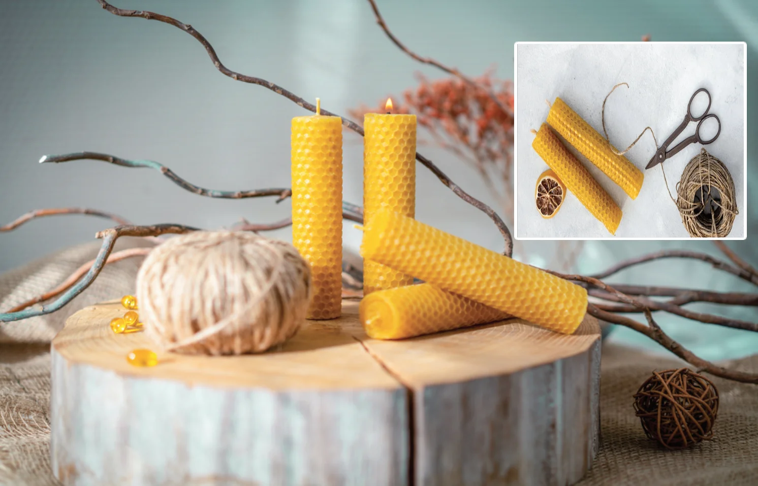 4 קישוטים טבעיים לט"ו בשבט שישדרגו לכם את הבית – מחומרים שיש לכולם!