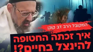 חשיפה מהמקובל הרב דב קוק: איך זכתה החטופה להינצל בחיים?