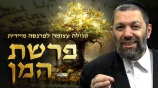 סגולה אדירה לפרנסה - הרב מסביר: כך תבצעו נכון את סגולת פרשת המן ותראו ישועות