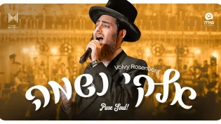 וואלווי רוזנברג במחרוזת "אלקי נשמה" מרגשת