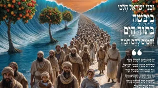 מגזין ערוץ 2000 - פרשת בשלח