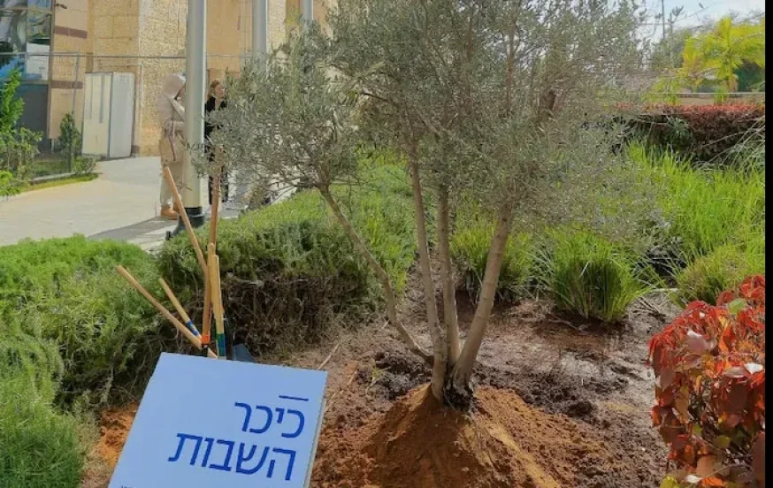 חמש התצפיתניות שוחררו מביה"ח, וגרמו לכולם לדמוע חמש התצפיתניות שוחררו מביה"ח, וגרמו לכולם לדמוע