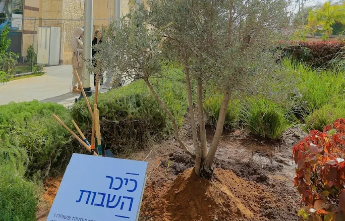 חמש התצפיתניות שוחררו מביה"ח, וגרמו לכולם לדמוע