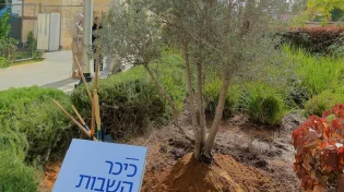 חמש התצפיתניות שוחררו מביה"ח, וגרמו לכולם לדמוע