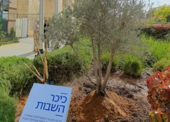 חמש התצפיתניות שוחררו מביה"ח, וגרמו לכולם לדמוע