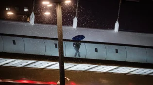 הסופה מכה בירושלים: כביש בגין דרום נחסם לכמה שעות