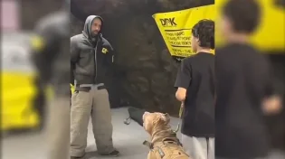 הכלב שמדמה תקיפה עם סכין - אימון קטלני עם אינסטינקטים חייתיים