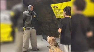 הכלב שמדמה תקיפה עם סכין - אימון קטלני עם אינסטינקטים חייתיים