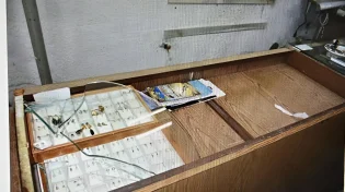 ת"א: בן 24 נעצר בחשד לשוד אלים בחנות תכשיטים, בשווי של כמיליון שקלים