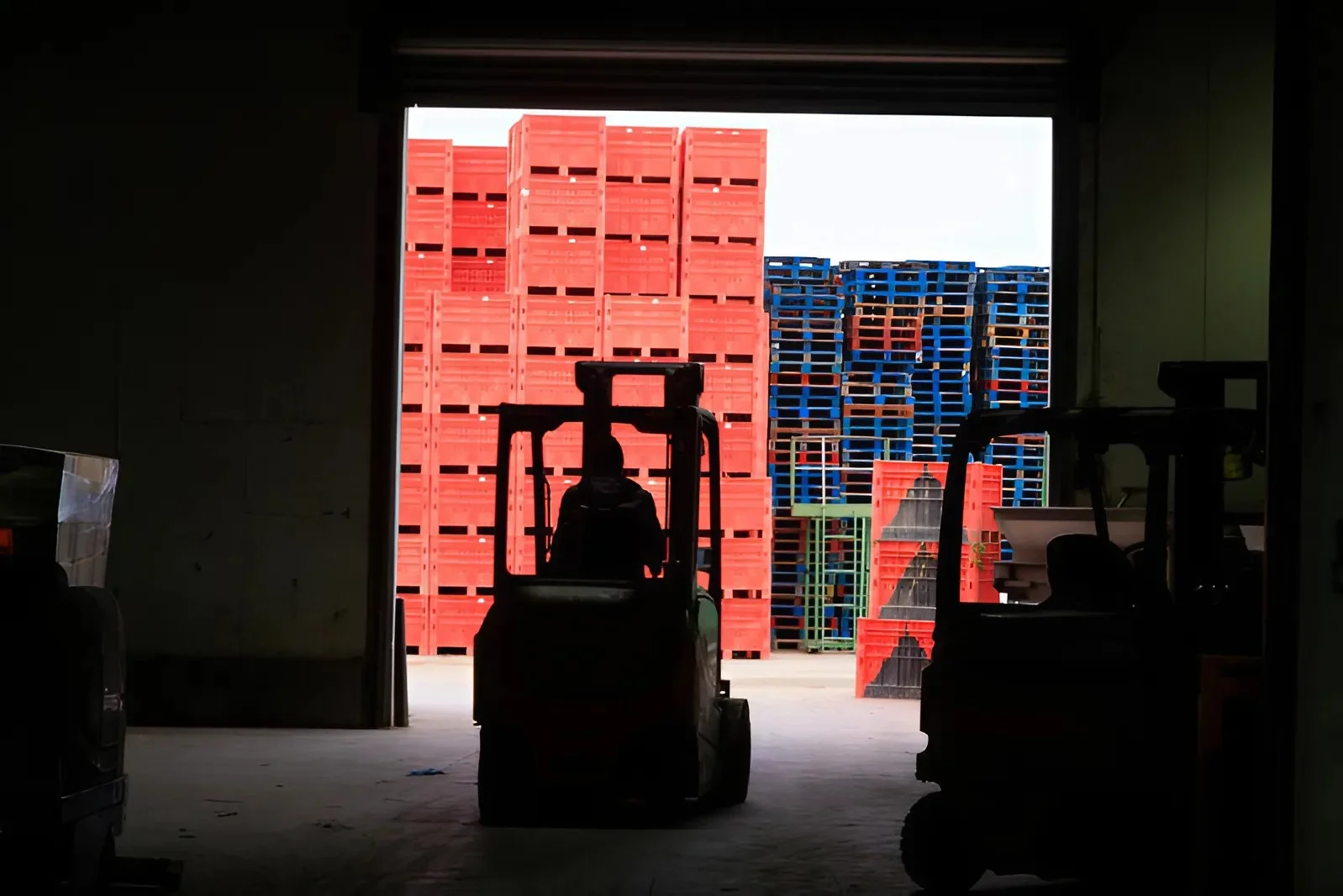 שיקום החקלאות בעוטף עזה: 121 מיליון ש"ח למהפכה בבתי האריזה שיקום החקלאות בעוטף עזה: 121 מיליון ש"ח למהפכה בבתי האריזה