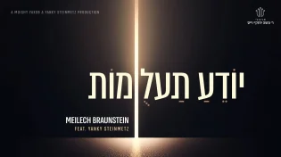 מיילך ברונשטיין ויענקי שטיינמץ בדואט חדש וסוחף: "יודע תעלומות"