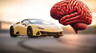 כך תעזרו למוח שלכם להילחם באלצהיימר: הרגלים שכל אחד חייב להכיר