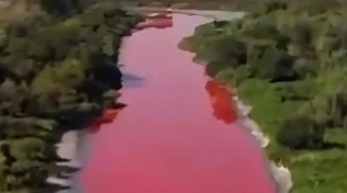 הנהר בארגנטינה שינה צבע: זיהום או תופעה מסתורית?