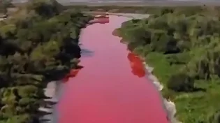 הנהר בארגנטינה שינה צבע: זיהום או תופעה מסתורית?