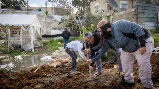 התגלית המטלטלת של המקובלים: זו הסיבה שאסור לקרוא לילדים בשמות של פירות ועצים