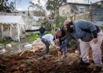 התגלית המטלטלת של המקובלים: זו הסיבה שאסור לקרוא לילדים בשמות של פירות ועצים